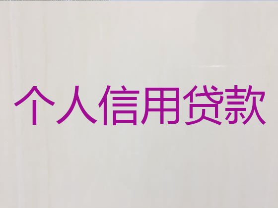临海信用贷款-正规贷款公司